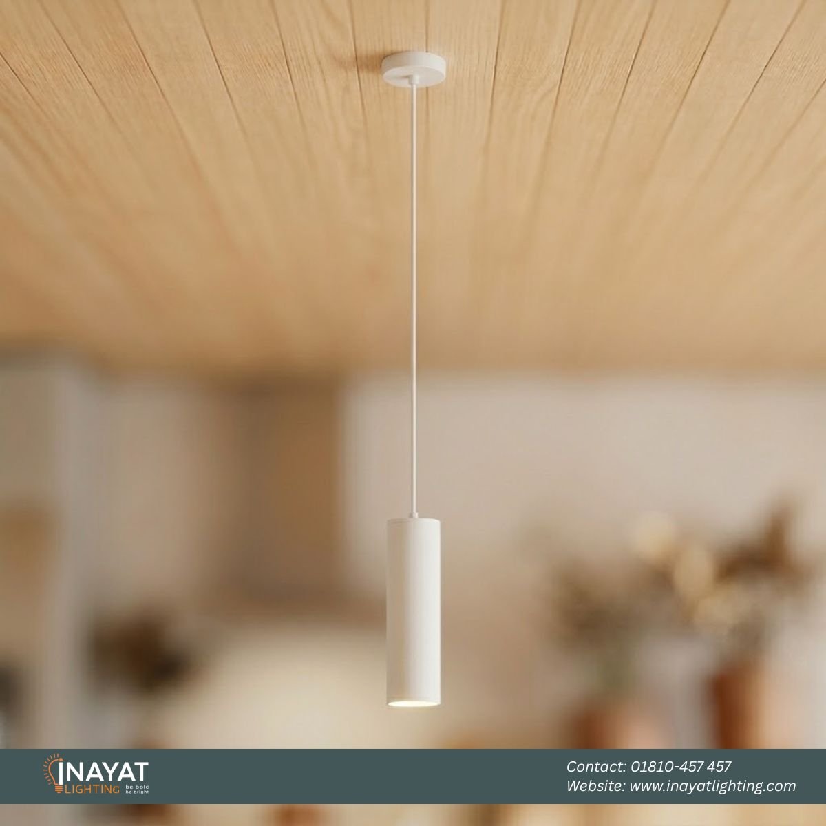 Pendant Light PNL012