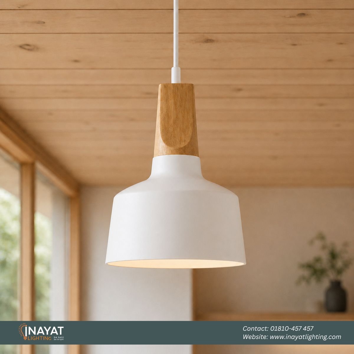 Pendant Light PNL024