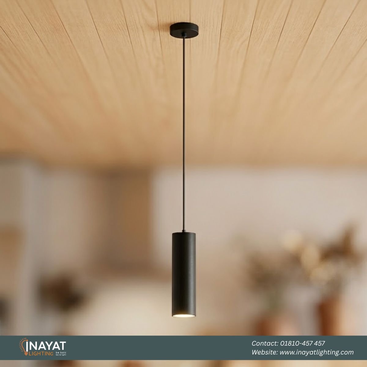 Pendant Light PNL012