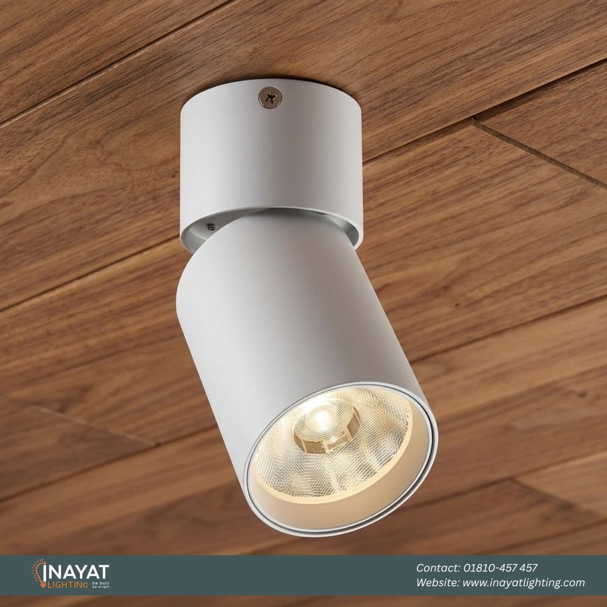 Track Light