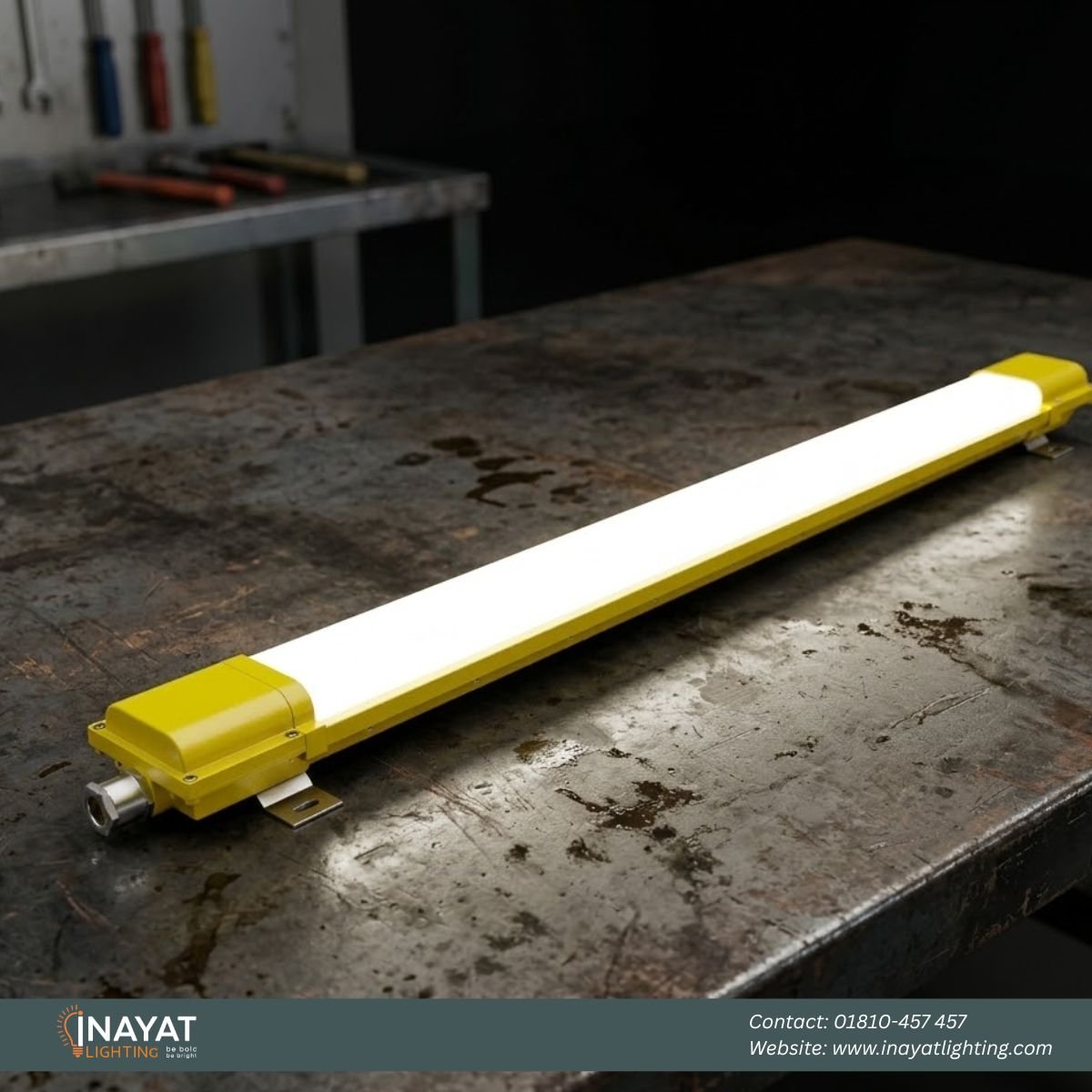 Explosion Proof Light EXL007