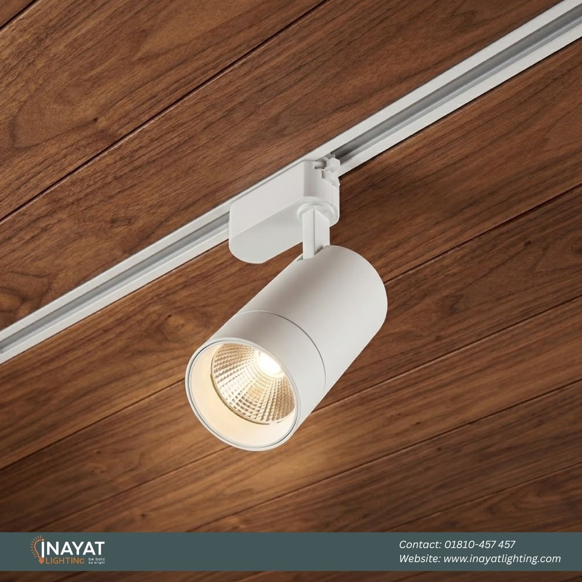 Track Light TL038